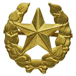Originál AČR odznak vševojskový odznak vševojskový  odznak vševojskový