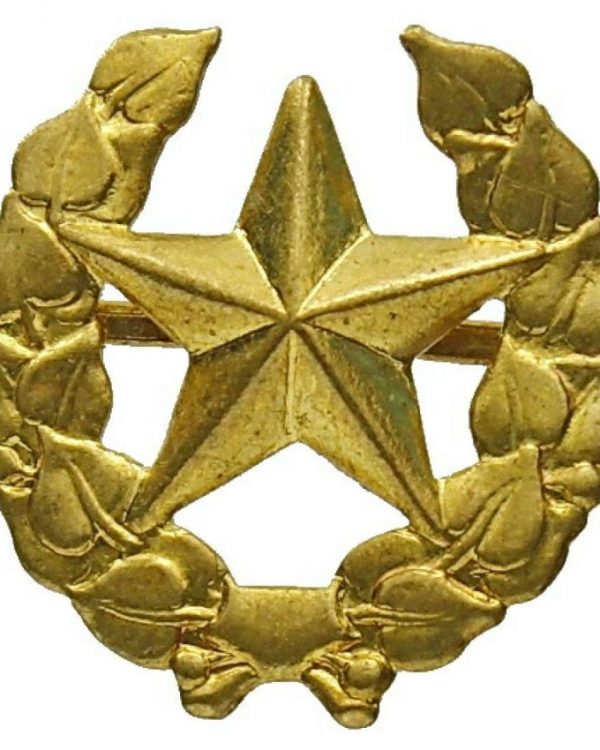 Originál AČR odznak vševojskový odznak vševojskový  odznak vševojskový