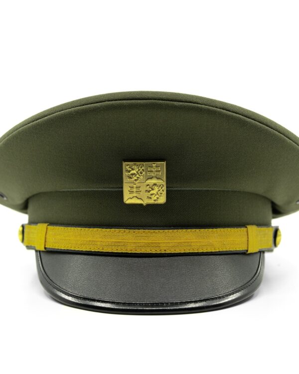 Originál AČR čepice/brigadýrka ČS s odznakem ČSFR 56 Brigadýrka čestné stráže ČR. Včetně zlatého odznaku.